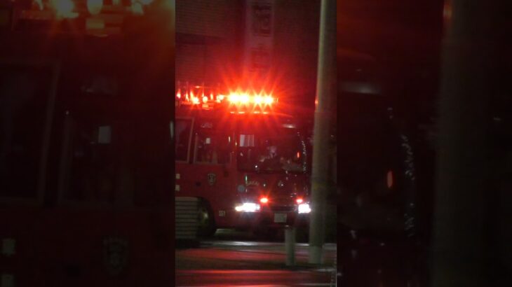 【緊急走行】本部第1指揮隊、緊急走行！！【堺市消防局】#shorts  #緊急走行 ＃消防車 #救急車 #emergency #fire #救急車＃サイレン