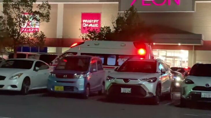 【緊急走行】現場から救急車が出動する（小山救急2）