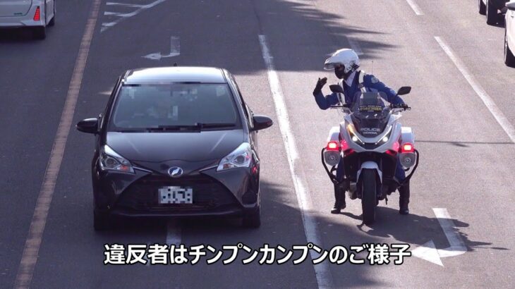 白バイ2台で過積載ダンプを台貫所に連行か！？一時停止が義務ということを知らない違反者が次から次に歩行者妨害で捕まった取締りの瞬間７連発！！！