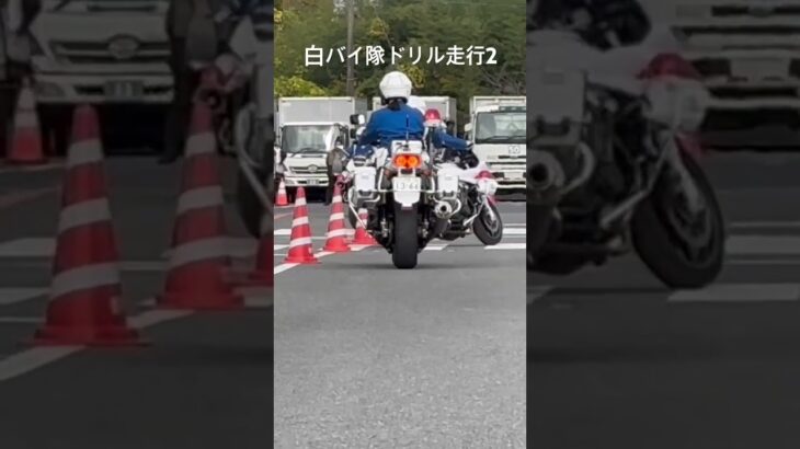 埼玉トラックファミリーフェア2025🌟白バイ隊ドリル走行②華麗なドリル走行でした(^^)#緊急車両 #白バイ #埼玉県警