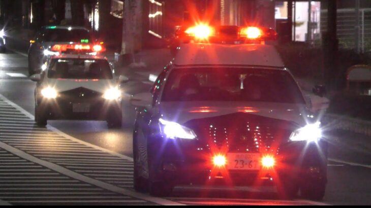【パトカー】緊急走行集25連発！激レアパトカーも！！現場へ向かう警察屋さんたち！！！Vol.2【各都道府県警察】《POLICE RESPONSE》