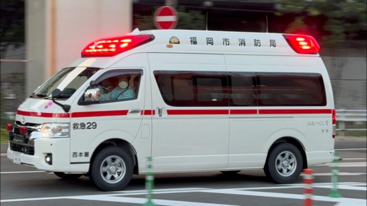 【福岡市消防局】西本署救急小隊 救急29(みおつくし号)緊急走行