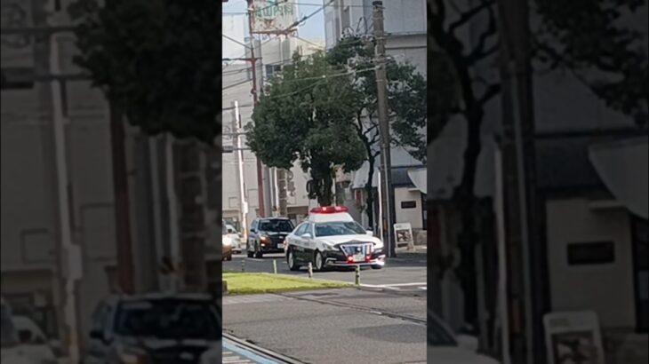 【緊急走行】事故多発地点で交通事故発生！パトカー4台連続臨場!鹿児島県警察　中央2　荒田　中央誘導標識　中央1