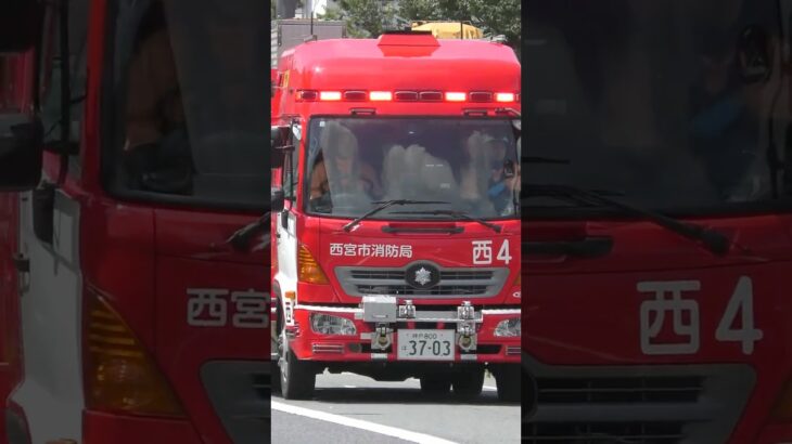【緊急走行】西宮4、サイレン鳴らし緊急走行！【西宮市消防局】#shorts  #ショート #消防署 #消防車 #fire #firefighter #サイレン#救急車 #救急#ambulance