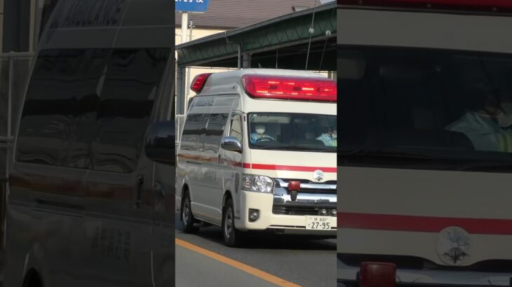 【堺#909】本部非常救急、緊急走行！【堺市消防局】#shorts  #ショート #消防署 #消防車 #fire #firefighter #サイレン#救急車 #救急#ambulance