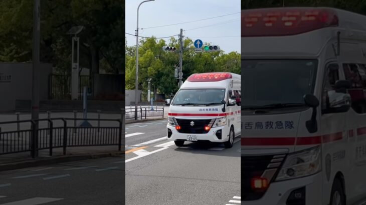 【堺#941】百舌鳥救急、緊急走行！【堺市消防局】#shorts #short #ショート #消防署 #消防車 #fire #firefighter #サイレン#救急車 #救急#ambulance