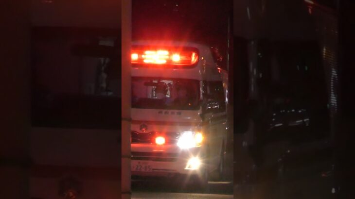 【堺#951】堺非常救急、緊急走行！【堺市消防局】#shorts  #ショート #消防署 #消防車 #fire #firefighter #サイレン#救急車 #救急#ambulance