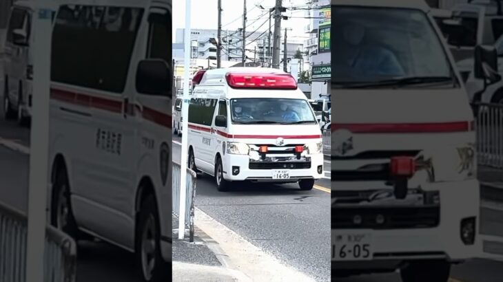【堺#955】南非常救急、緊急走行！【堺市消防局】#shorts  #ショート #消防署 #消防車 #fire #firefighter #サイレン#救急車 #救急#ambulance