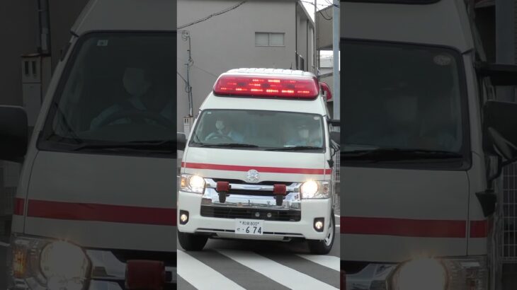 【堺#958】高石非常救急、緊急走行！【堺市消防局】#shorts  #ショート #消防署 #消防車 #fire #firefighter #サイレン#救急車 #救急#ambulance