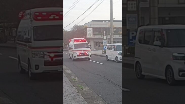 【緊急走行集96】鹿児島市消防局救急車