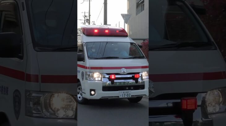 【堺#989】茶山台第2救急、緊急走行！【堺市消防局】#shorts  #ショート #消防署 #消防車 #fire #firefighter #サイレン#救急車 #救急#ambulance