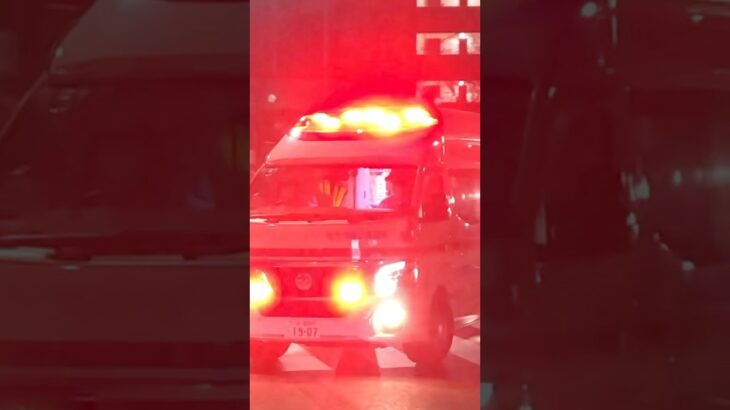 【堺#991】百舌鳥第2救急、緊急走行！【堺市消防局】#shorts  #ショート #消防署 #消防車 #fire #firefighter #サイレン#救急車 #救急#ambulance