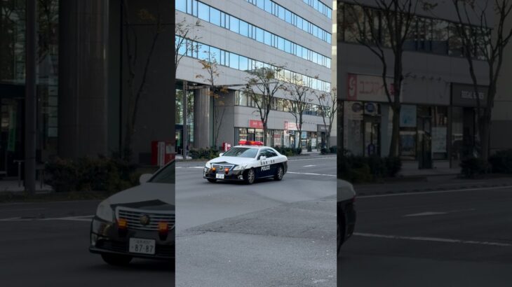 音量注意⚠️福島県警　緊急走行シーン#クラウン#パトカー#警察車両#緊走#福島駅#事件#事故#JR福島#音量注意