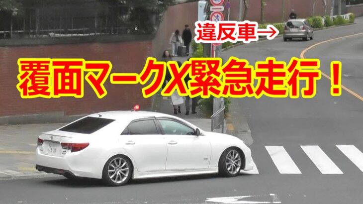 覆面パトカーの緊急走行！信号無視した違反車を検挙する交通機動隊の覆面マークX