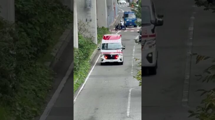 🚨響き渡るサイレン🚨救急車🚨緊急走行🚨　#short #shorts