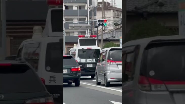🚨警察車両🚨兵庫県警🚨赤色灯🚨　#short #shorts