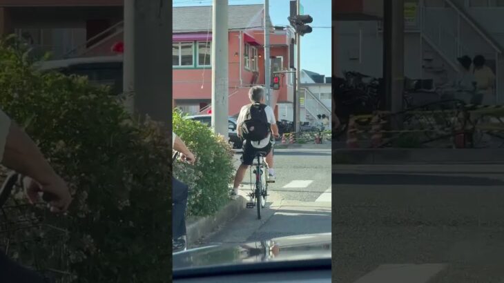 🚨兵庫県警🚨パトカー🚨パトロール🚨赤色灯🚨ミニパト🚨 #short #shorts