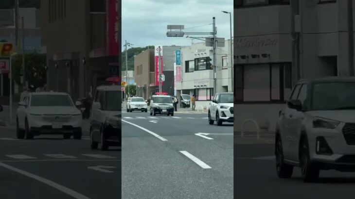 🚨パトカー🚨パトロール🚨ミニパト🚨兵庫県警🚨　#short #shorts