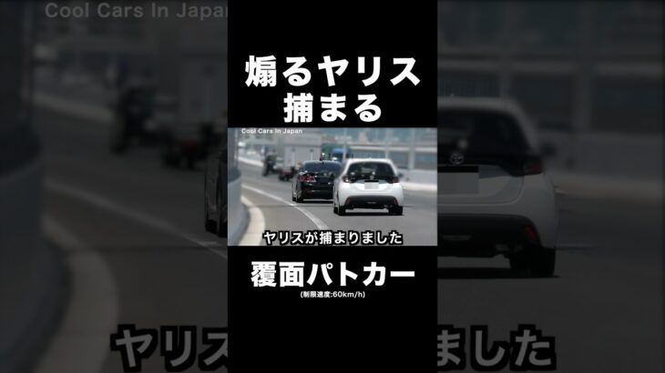 煽るヤリスに天罰‼️ 覆面パトカーに捕まる‼️ #shorts