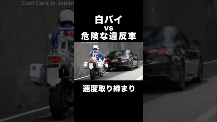白バイに捕まった車が危険な行動⁉️ #shorts