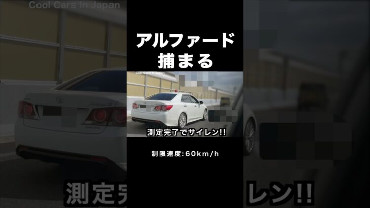 速度違反のアルファードが覆面パトカーに捕まる‼️ #shorts