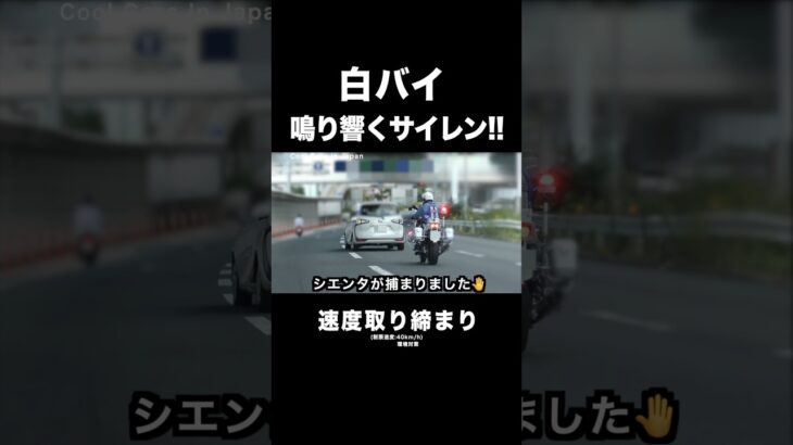 鳴り響くサイレン‼️ 白バイが速度違反を検挙‼️ #shorts