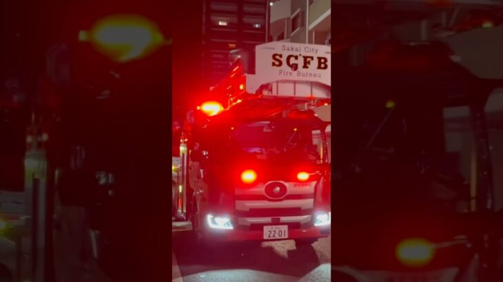【緊急走行】北はしご車、緊急走行！【堺市消防局】#shorts  #ショート #消防署 #消防車 #fire #firefighter #サイレン#救急車 #救急#ambulance