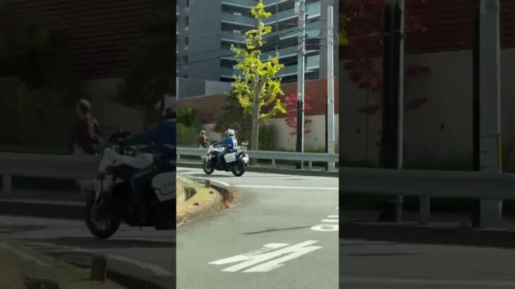 🚨白バイ🚨大阪府警🚨走行動画🚨　#shorts #short #白バイ