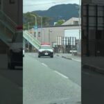 🚨パトカー🚨パトロール🚨赤色灯🚨兵庫県警🚨ミニパト🚨　#shorts #short