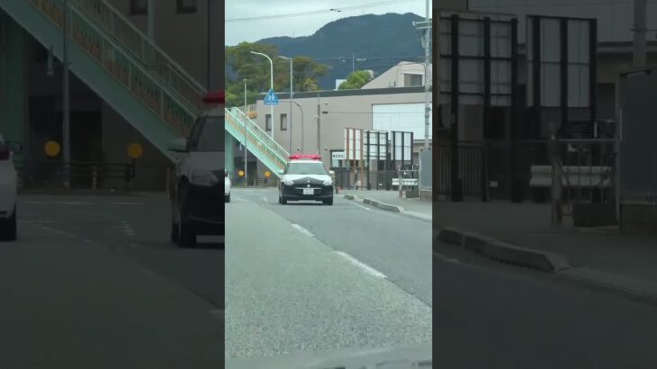 🚨パトカー🚨パトロール🚨赤色灯🚨兵庫県警🚨ミニパト🚨　#shorts #short