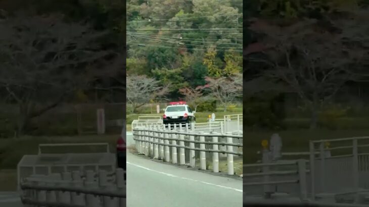 🚨ミニパト🚨パトロール🚨兵庫県警🚨赤色灯🚨　#shorts #short
