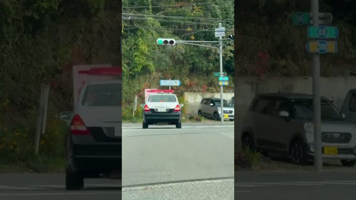 🚨パトカー🚨パトロール🚨兵庫県警🚨赤色灯🚨　#shorts #short