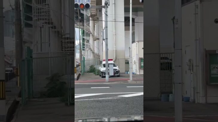 🚨大阪府警🚨パトカー🚨　#shorts #short