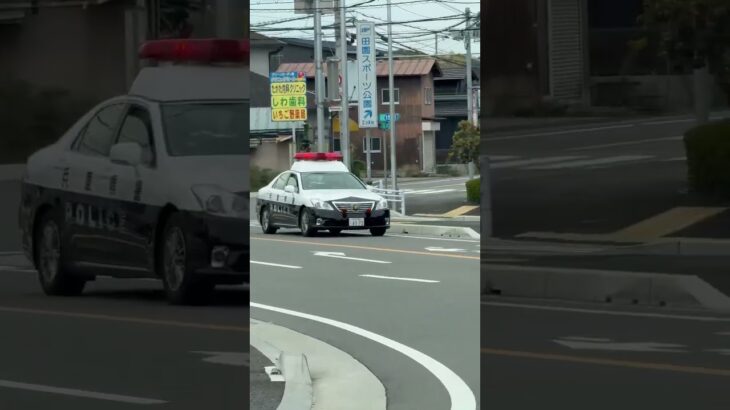 🚨パトカー🚨赤色灯🚨兵庫県警🚨　#shorts #short