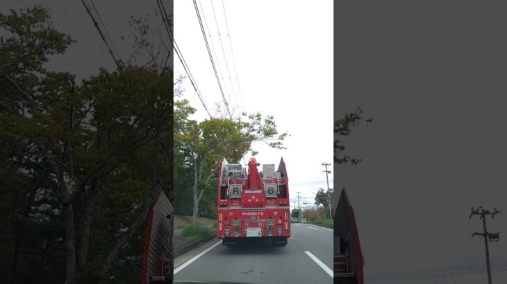 🚨消防車🚨レスキュー車🚨 #shorts #short