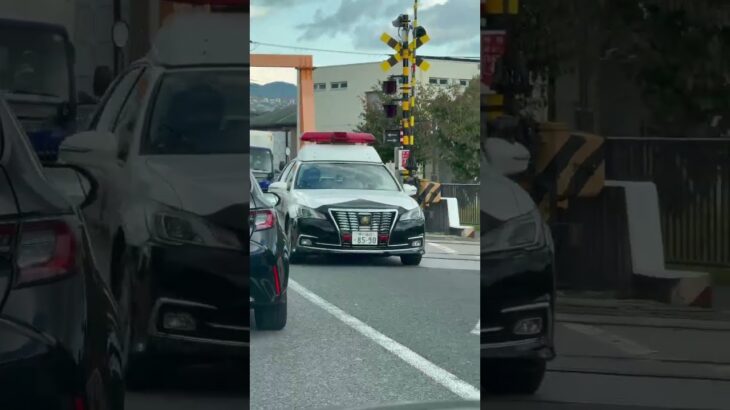 🚨パトカー🚨兵庫県警🚨パトロール🚨　#shorts #short #shortsfeed