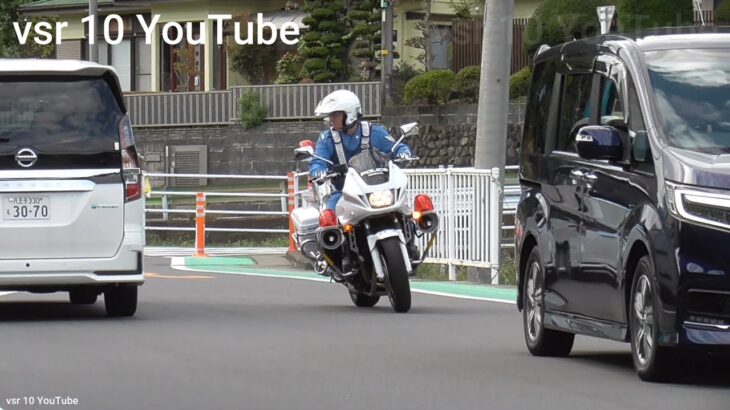 いや、スレスレなんだから止まれや！狭い道路をノンストップで通過！！白バイが追走！！•マジ？左折レーンから大胆に直進！パトカーが停止命令！•プリウスミサイルを検挙！•残クレファードがごねる！等