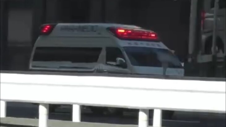 🚨響き渡るサイレン🚨救急車🚨緊急走行🚨