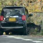 🚨衝撃🚨とんでもない事故に遭遇🚨どうしたらこうなる🤔🤔🤔