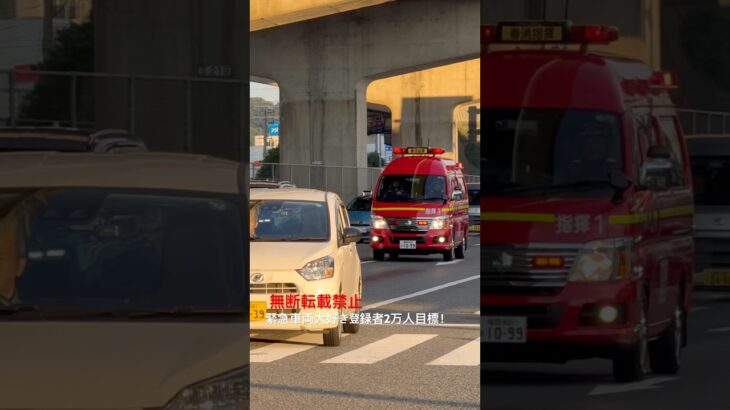 消防指揮車・緊急走行🚨