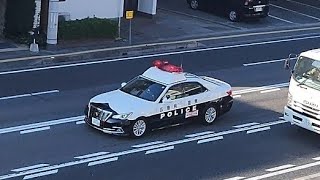 パトカー　緊急走行