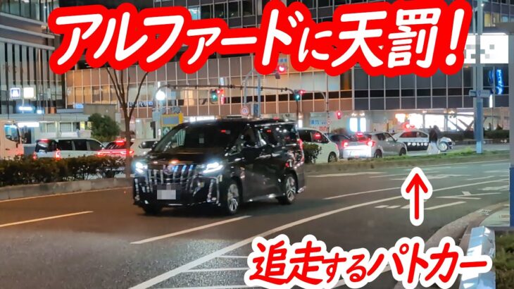 矢印なんてお構い無し！信号無視のアルファードに天罰！【パトカーによる信号無視取り締まり】