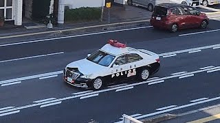 パトカー　緊急走行