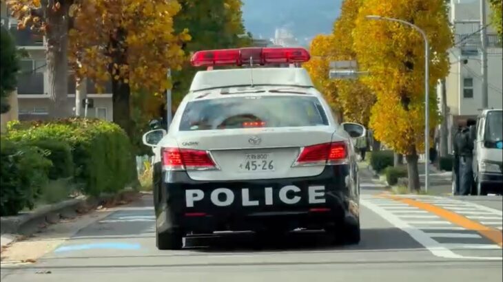 🚨大阪府警🚨パトカー🚨パトロール🚨走行動画🚨　#パトカー