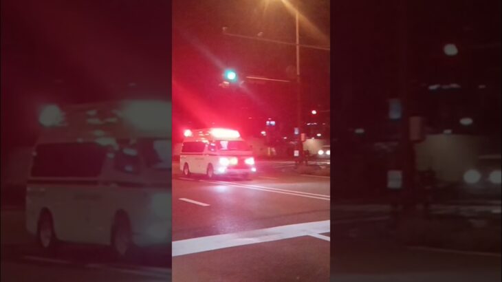 【緊急走行】ノーマルモード!鹿児島市消防局甲南救急隊