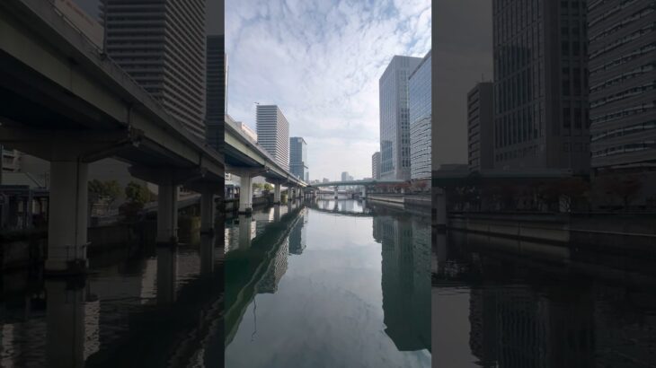 阪神高速を緊急走行する消防車両🚒🚨