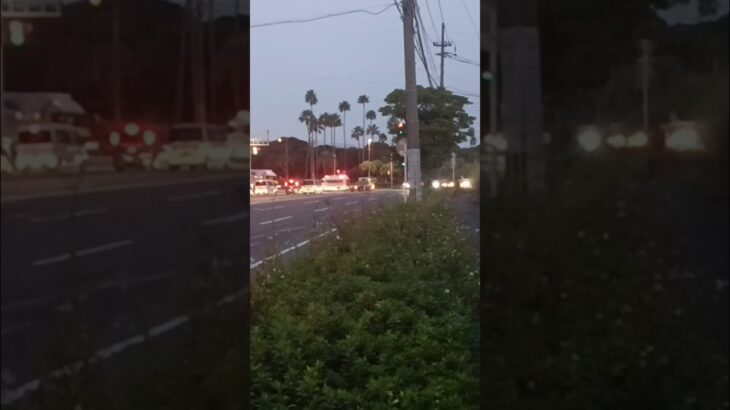 【緊急走行】この後ドクターカー支援に変更した模様！新型パラメ！鹿児島市消防局南本署救急隊