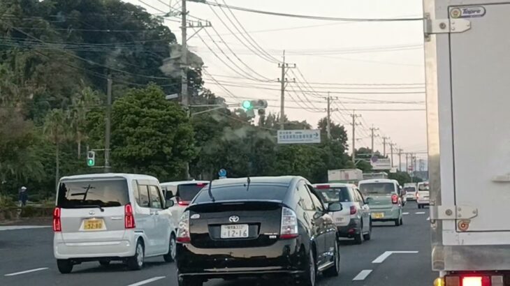 【緊急走行】鹿児島県警察交通機動隊白バイ