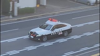 パトカー　緊急走行
