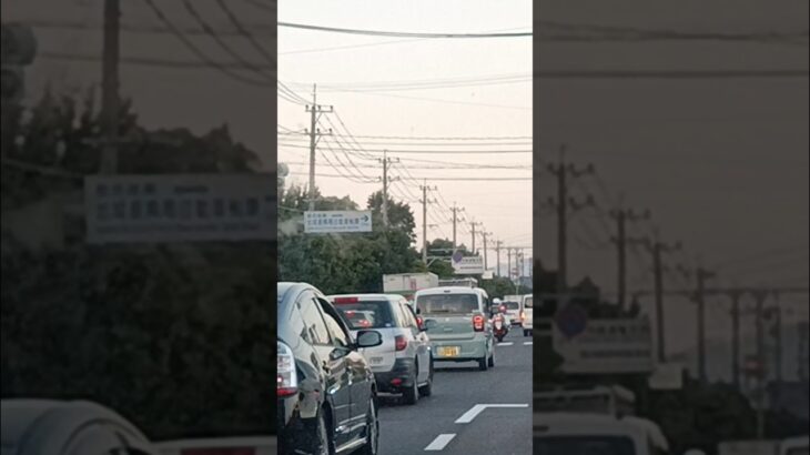 【緊急走行】鹿児島県警察交通機動隊白バイ